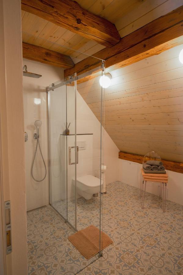 Apartamento Mlyn Salajna Dolni Zandov Exterior foto
